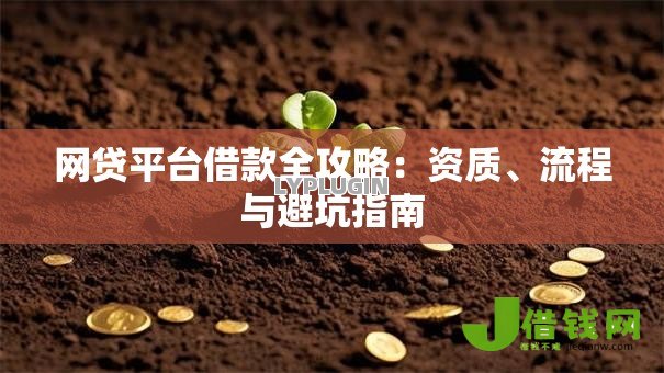 网贷平台借款全攻略：资质、流程与避坑指南