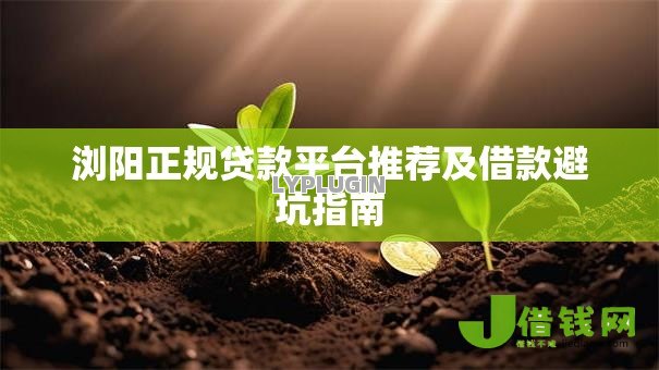 浏阳正规贷款平台推荐及借款避坑指南 浏阳正规贷款平台推荐及借款避坑指南