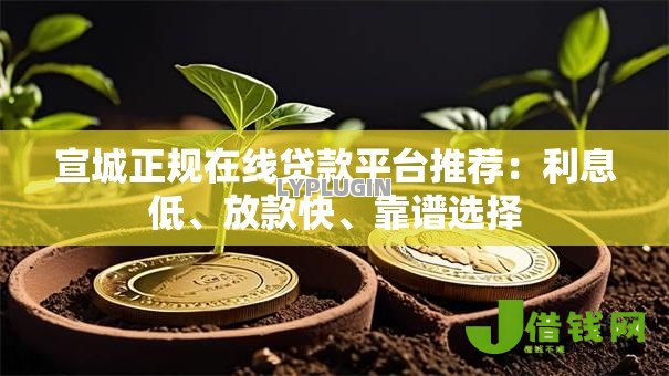 宣城正规在线贷款平台推荐：利息低、放款快、靠谱选择