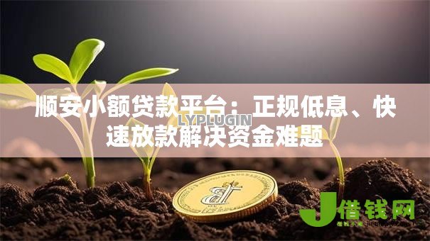 顺安小额贷款平台：正规低息、快速放款解决资金难题