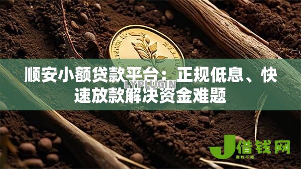 顺安小额贷款平台：正规低息、快速放款解决资金难题