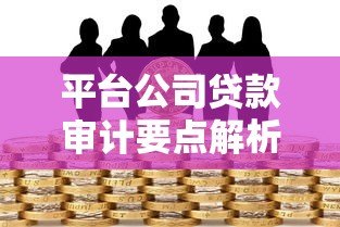 平台公司贷款审计要点解析与风险防范指南 平台公司贷款审计要点解析与风险防范指南