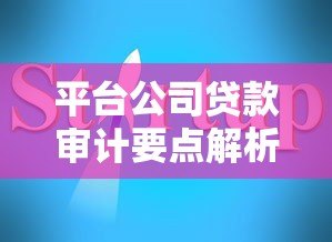 平台公司贷款审计要点解析与风险防范指南 平台公司贷款审计要点解析与风险防范指南