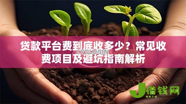 贷款平台费到底收多少？常见收费项目及避坑指南解析