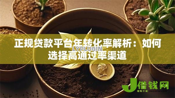 正规贷款平台年转化率解析:如何选择高通过率渠道 正规贷款平台年转化率解析:如何选择高通过率渠道