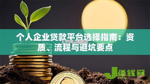 个人企业贷款平台选择指南：资质、流程与避坑要点