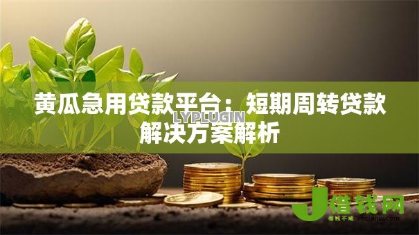 黄瓜急用贷款平台：短期周转贷款解决方案解析