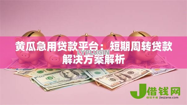 黄瓜急用贷款平台：短期周转贷款解决方案解析