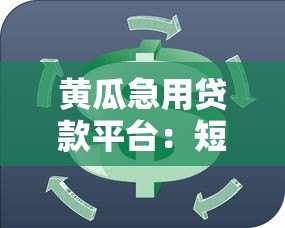 黄瓜急用贷款平台：短期周转贷款解决方案解析