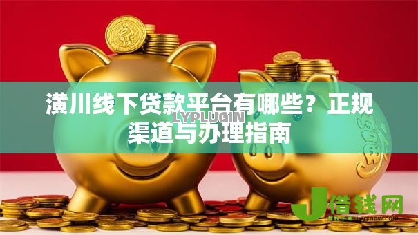 潢川线下贷款平台有哪些？正规渠道与办理指南