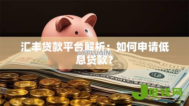 汇丰贷款平台解析：如何申请低息贷款？