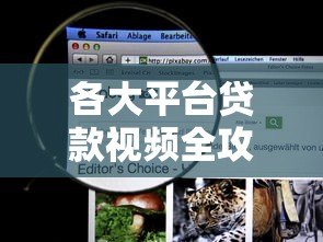 各大平台贷款视频全攻略:选对渠道,轻松避坑 各大平台贷款视频全攻略:选对渠道,轻松避坑