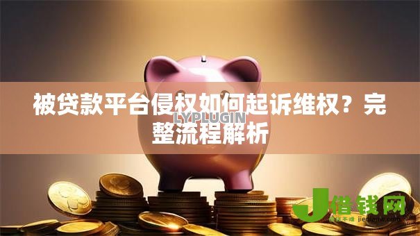 被贷款平台侵权如何起诉维权？完整流程解析