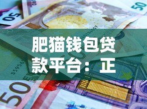 肥猫钱包贷款平台：正规可靠的借贷攻略与注意事项