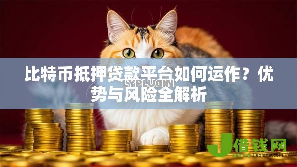 比特币抵押贷款平台如何运作?优势与风险全解析 比特币抵押贷款平台如何运作?优势与风险全解析