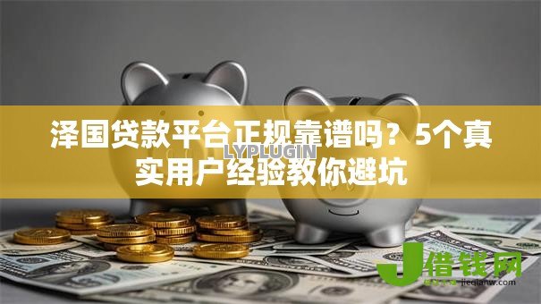 泽国贷款平台正规靠谱吗？5个真实用户经验教你避坑