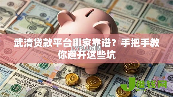 武清贷款平台哪家靠谱？手把手教你避开这些坑