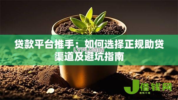 贷款平台推手:如何选择正规助贷渠道及避坑指南 贷款平台推手:如何选择正规助贷渠道及避坑指南
