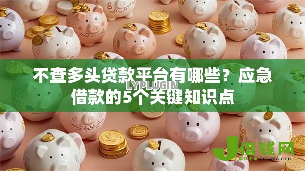 不查多头贷款平台有哪些?应急借款的5个关键知识点 不查多头贷款平台有哪些?应急借款的5个关键知识点