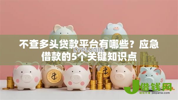 不查多头贷款平台有哪些?应急借款的5个关键知识点 不查多头贷款平台有哪些?应急借款的5个关键知识点