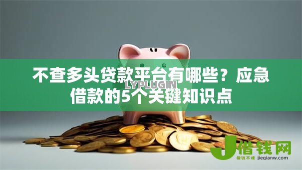 不查多头贷款平台有哪些?应急借款的5个关键知识点 不查多头贷款平台有哪些?应急借款的5个关键知识点