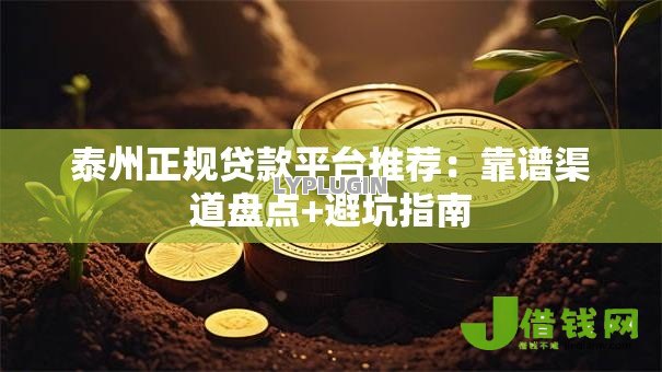泰州正规贷款平台推荐:靠谱渠道盘点+避坑指南 泰州正规贷款平台推荐:靠谱渠道盘点+避坑指南