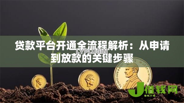 贷款平台开通全流程解析：从申请到放款的关键步骤