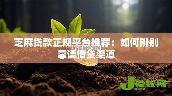 芝麻贷款正规平台推荐：如何辨别靠谱借贷渠道