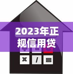 2023年正规信用贷款平台推荐及申请指南