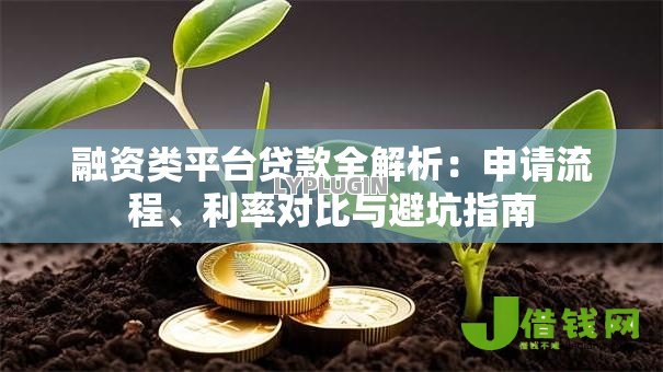 融资类平台贷款全解析:申请流程、利率对比与避坑指南 融资类平台贷款全解析:申请流程、利率对比与避坑指南