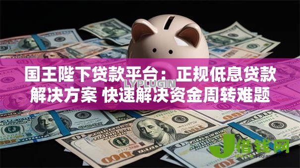 国王陛下贷款平台：正规低息贷款解决方案 快速解决资金周转难题