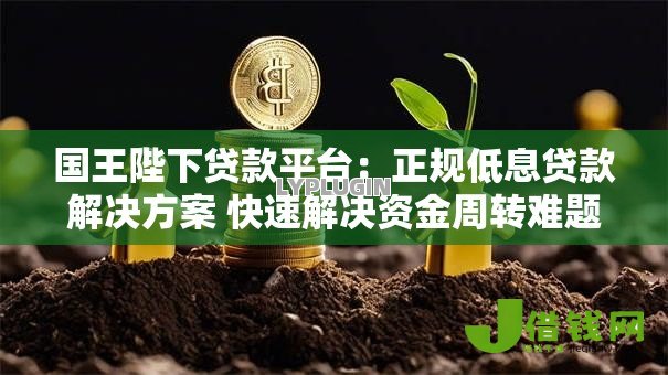 国王陛下贷款平台：正规低息贷款解决方案 快速解决资金周转难题
