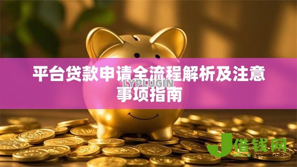 平台贷款申请全流程解析及注意事项指南