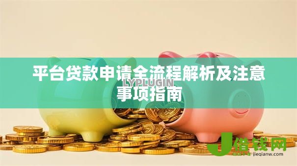 平台贷款申请全流程解析及注意事项指南