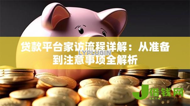 贷款平台家访流程详解：从准备到注意事项全解析