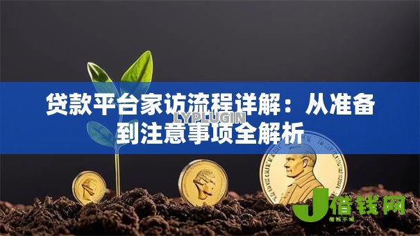 贷款平台家访流程详解：从准备到注意事项全解析