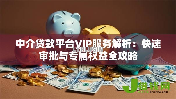 中介贷款平台VIP服务解析：快速审批与专属权益全攻略