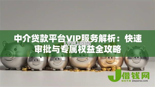 中介贷款平台VIP服务解析：快速审批与专属权益全攻略
