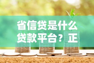 省信贷是什么贷款平台？正规贷款电话及申请流程详解