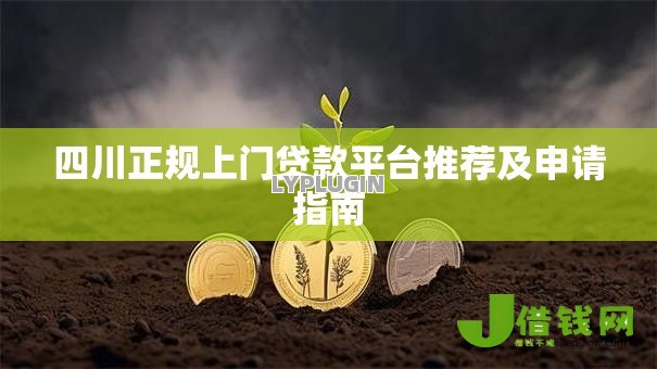 四川正规上门贷款平台推荐及申请指南 四川正规上门贷款平台推荐及申请指南