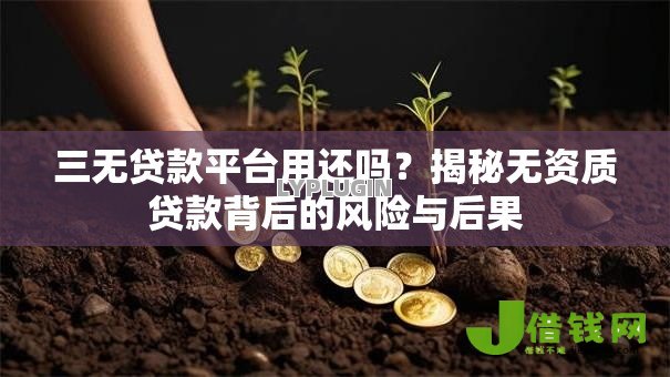 三无贷款平台用还吗?揭秘无资质贷款背后的风险与后果 三无贷款平台用还吗?揭秘无资质贷款背后的风险与后果