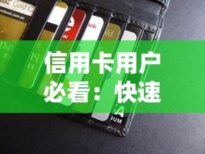 信用卡用户必看:快速下款的贷款平台推荐 信用卡用户必看:快速下款的贷款平台推荐