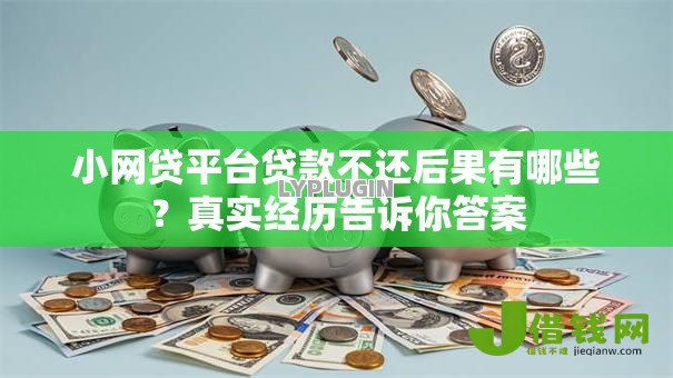 小网贷平台贷款不还后果有哪些？真实经历告诉你答案