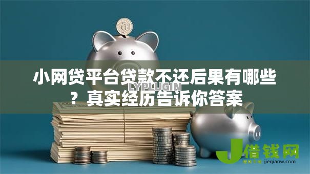 小网贷平台贷款不还后果有哪些？真实经历告诉你答案
