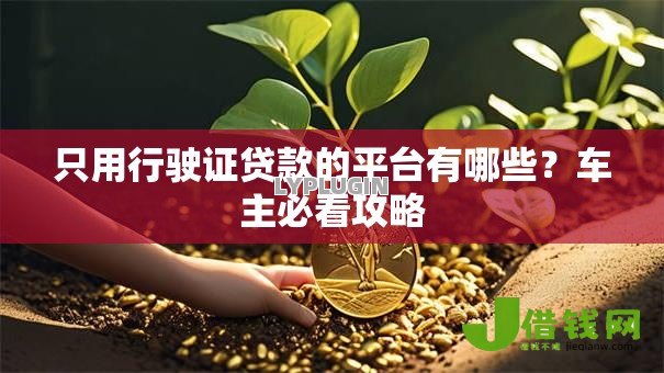 只用行驶证贷款的平台有哪些?车主必看攻略 只用行驶证贷款的平台有哪些?车主必看攻略