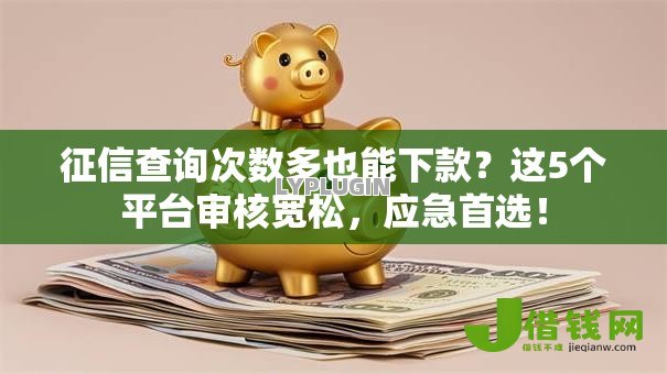 征信查询次数多也能下款?这5个平台审核宽松,应急首选! 征信查询次数多也能下款?这5个平台审核宽松,应急首选!