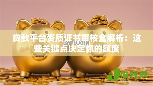 贷款平台资质证书审核全解析：这些关键点决定你的额度
