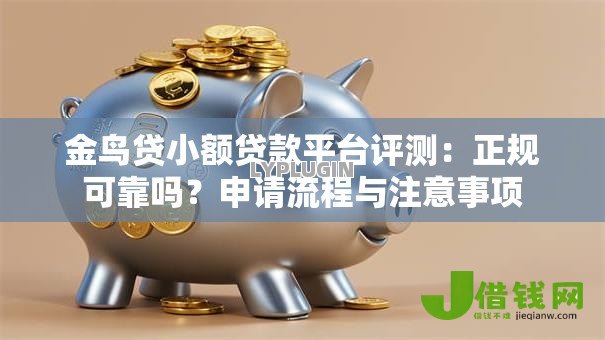金鸟贷小额贷款平台评测：正规可靠吗？申请流程与注意事项