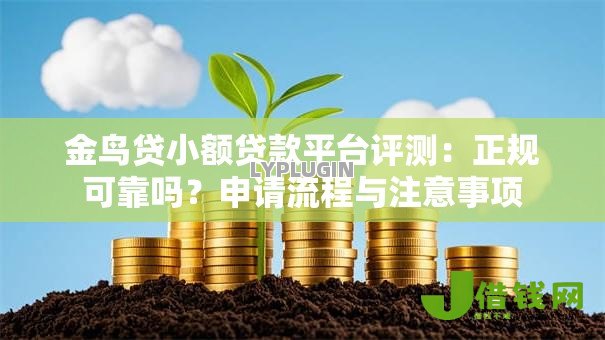 金鸟贷小额贷款平台评测：正规可靠吗？申请流程与注意事项