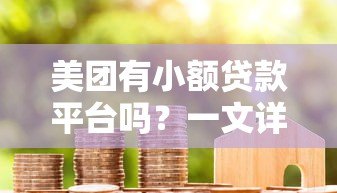 美团有小额贷款平台吗？一文详解美团借贷服务与申请攻略